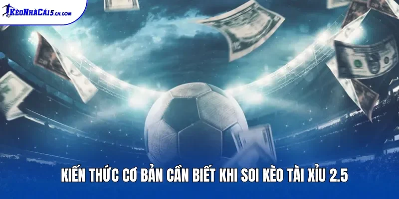 Kiến thức cơ bản cần biết khi soi kèo Tài Xỉu 2.5